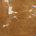 Closeup of this Brazilian Cowhide, showing brown and white spots that have brown speckles (BRBNW403)