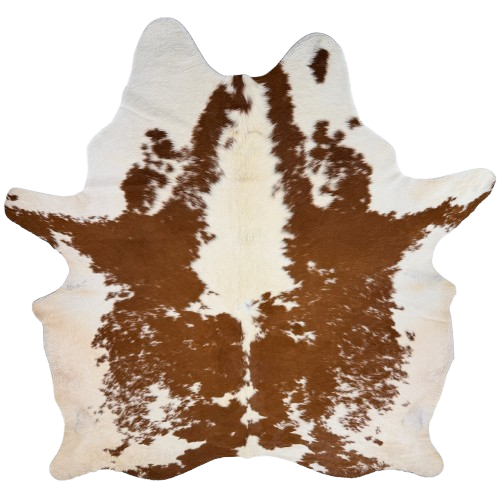Large Off-White and Brown Brazilian Cowhide: off-white with large and small, brown spots, and longer hair on the belly and down the middle of the shoulder - 7'11" x 6'2"  (BRBNW404)