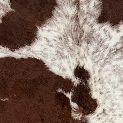 Closeup of this Large Cloudy Speckled Brazilian Cowhide, showing long hair that is white with cloudy, dark brown speckles, and large and small dark brown spots  (BRBNW405)