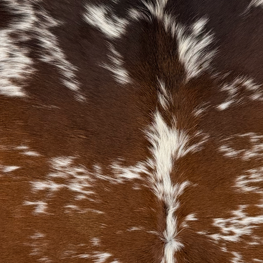 Closeup of this XL Speckled Brazilian Cowhide, showing white with reddish brown and dark brown speckles and spots (BRBNW406)