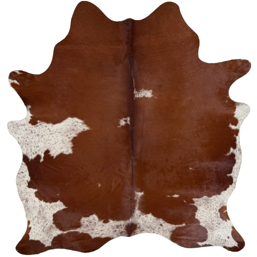 Dark Reddish Brown and White Brazilian Cowhide: dark reddish brown with white spots that have dark reddish brown speckles - 6'11" x 5'9" (BRBNW407)