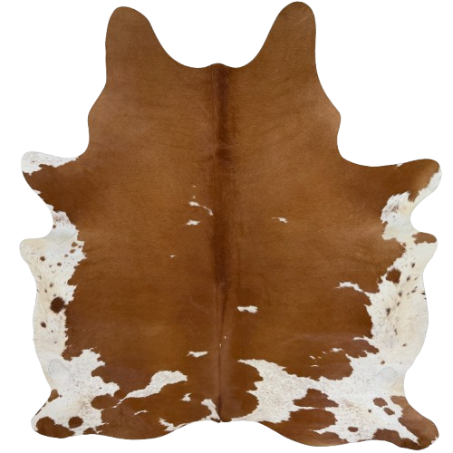 Brown and White Brazilian Cowhide: brown with white spots that have brown speckles - 7'3" x 5'9" (BRBNW408)