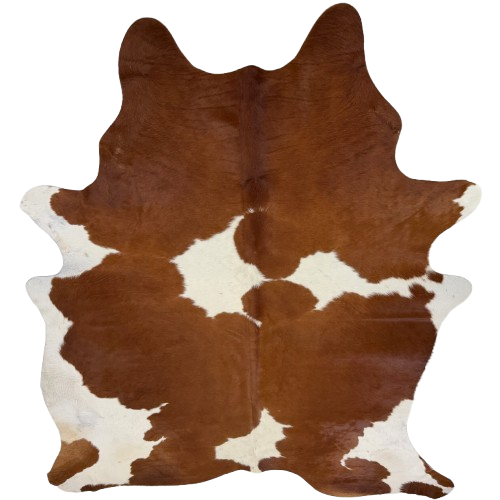 Large Reddish Brown and White Brazilian Cowhide: reddish brown with large, white spots - 7'10" x 5'10" (BRBNW410)