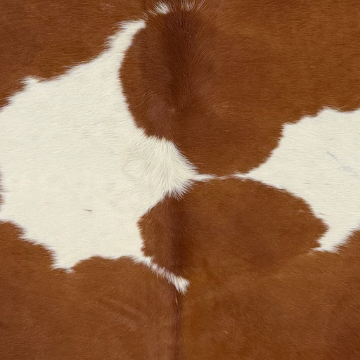 Closeup of this Large Brazilian Cowhide, showing reddish brown with large, white spots (BRBNW410)