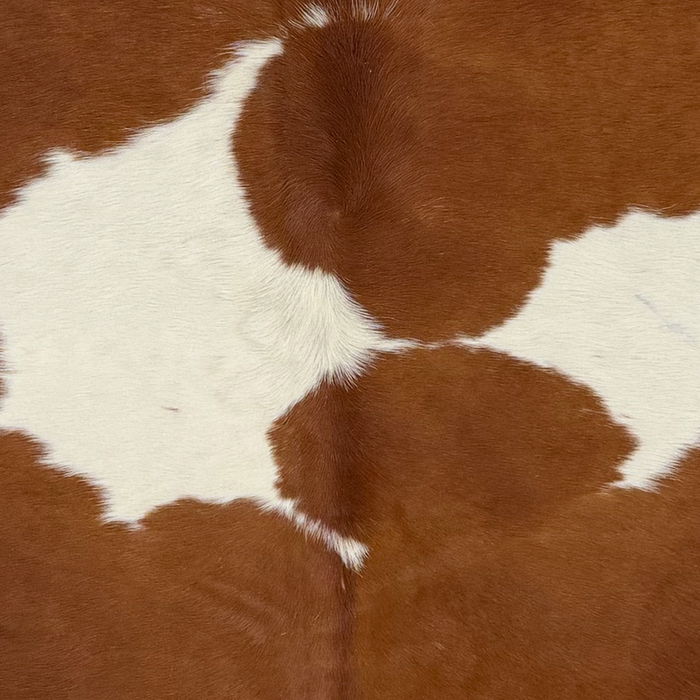 Closeup of this Large Brazilian Cowhide, showing reddish brown with large, white spots (BRBNW410)