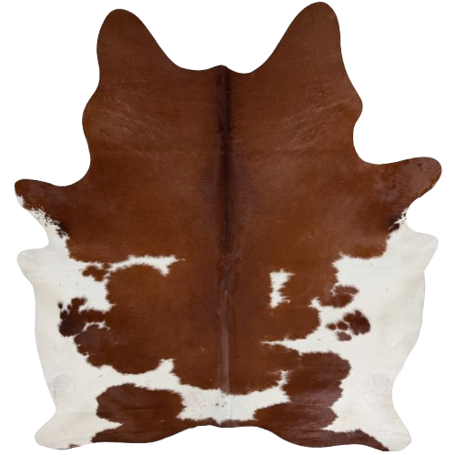 Reddish Brown and White Brazilian Cowhide: brown with white spots and white on the belly - 7'3" x 5'11" (BRBNW411)