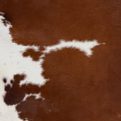 Closeup of this Brazilian Cowhide, showing brown with white spots (BRBNW411)