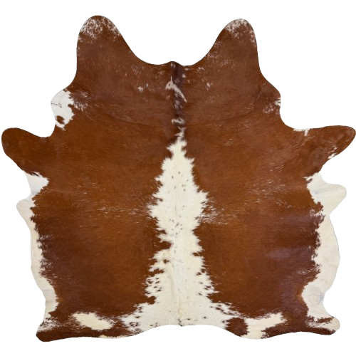 Large Reddish Brown and Off-White Brazilian Cowhide: reddish brown with off-white speckles, off-white with brown speckles down the middle, and off-white on the belly - 7'8" x 6'7" (BRBNW414)