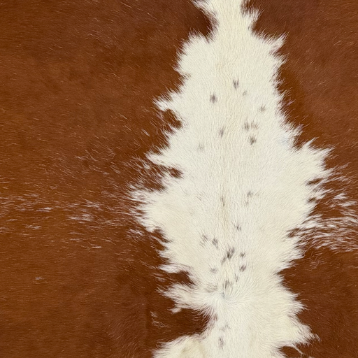 Closeup of this Large Brazilian Cowhide, showing reddish brown with off-white speckles, and off-white with brown speckles down the middle (BRBNW414)