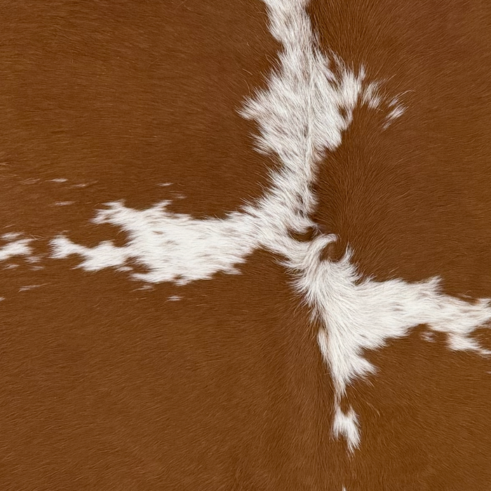Closeup of this Brazilian Cowhide, showing brown with white spots, some having brown speckles (BRBNW415)