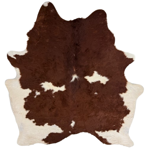 Dark Reddish Brown and Off-White Brazilian Cowhide: has long hair that is dark, reddish brown with off-white spots and off-white on the belly and hind shanks - 6'11" x 5'9" (BRBNW417)