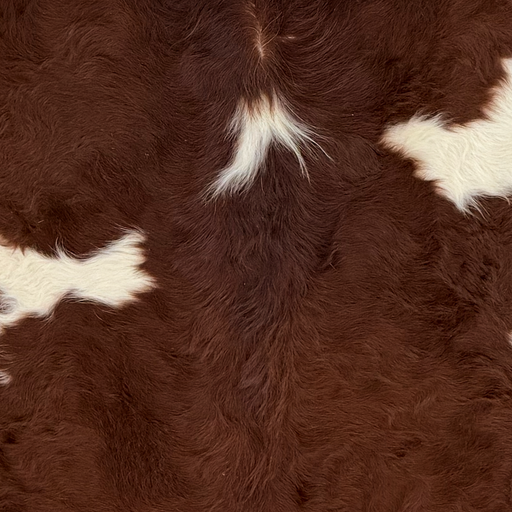 Closeup of this Brazilian Cowhide, showing long hair that is dark, reddish brown with off-white spots (BRBNW417)