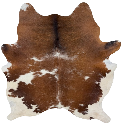 Brown and White Brazilian Cowhide:  brown with white speckles and spots, black down the middle of the shoulder, and off-white on the belly and hind shanks  - 6'7" x 5'9"  (BRBNW418)