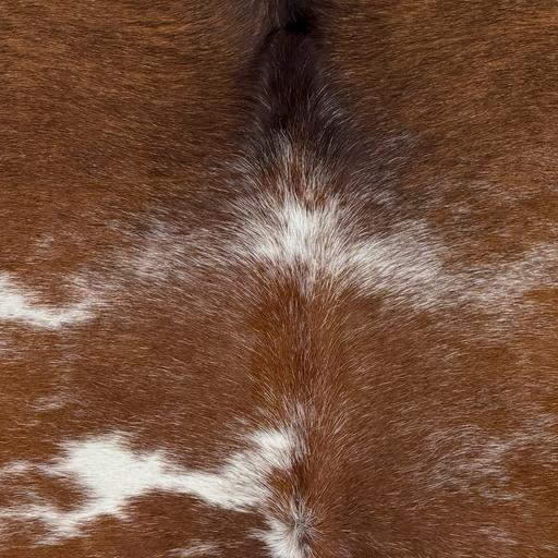Closeup of this Brazilian Cowhide, showing brown with white speckles and spots, and black down the middle of the shoulder  (BRBNW418)