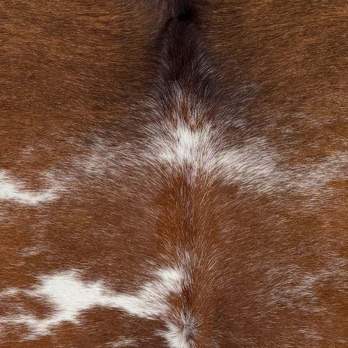 Closeup of this Brazilian Cowhide, showing brown with white speckles and spots, and black down the middle of the shoulder  (BRBNW418)