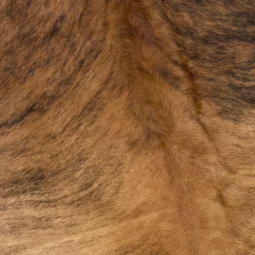 Closeup of this Brazilian, Brindle Cowhide, showing light brown and black (BRBR1016)