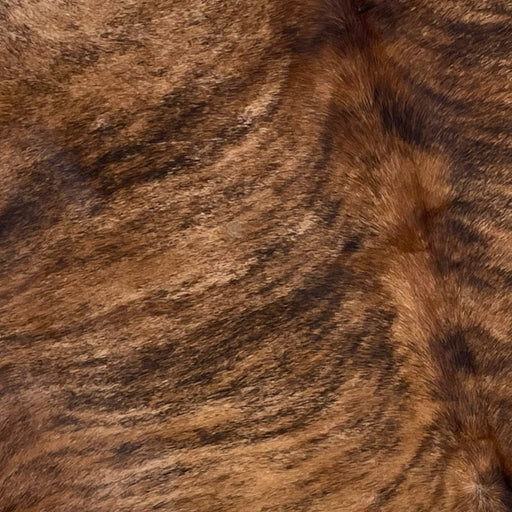 Closeup of this XL, Brazilian, Brindle Cowhide, showing reddish brown and black (BRBR1017)