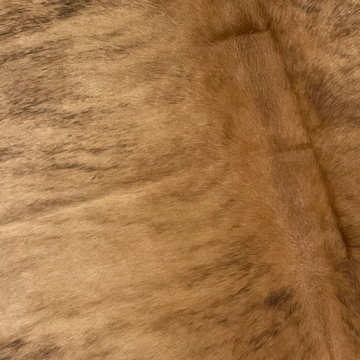 Closeup of this Brazilian Brindle Cowhide, showing light brown, tan, and black (BRBR1018)