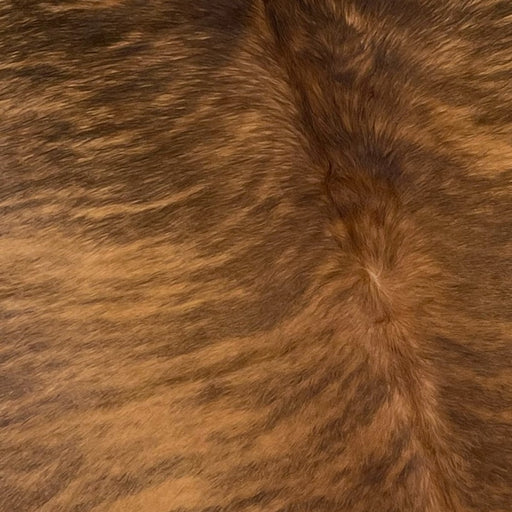 Closeup of this Two Tone Brown, Brazilian, Brindle Cowhide, showing brown and reddish brown (BRBR1020)