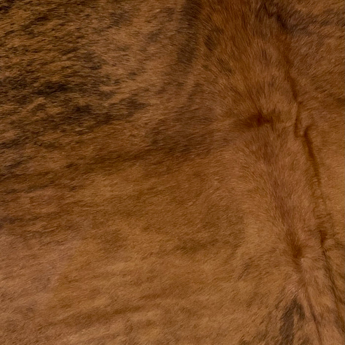 Closeup of this Large, Brazilian, Brindle Cowhide, showing brown and black (BRBR1023)