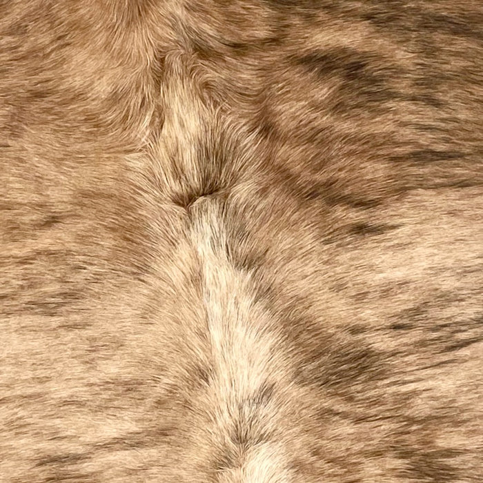 Closeup of this Large, Brazilian, Brindle Cowhide, showing brown with black and darker brown, brindle markings, and light tan down the spine (BRBR1042)