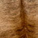 Closeup of this Large, Brazilian, Brindle Cowhide, showing reddish brown and light brown, with black, brindle markings (BRBR1044)