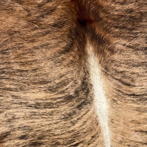 Closeup of this XL, Brazilian, Brindle Cowhide, showing brown and tan, with black, brindle markings, and off-white down the spine (BRBR1045)