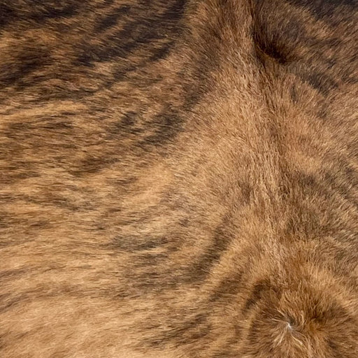 Closeup of this XL, Brazilian, Brindle Cowhide, showing brown with black, brindle markings (BRBR1047)