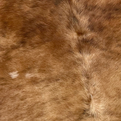 Closeup of this Large, Brazilian, Brindle Cowhide, showing light reddish brown and black, with light tan down part of the spine (BRBR1048)