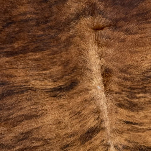 Closeup of this Large, Brazilian, Brindle Cowhide, showing brown with black, brindle markings, and lighter brown down the spine (BRBR1049)