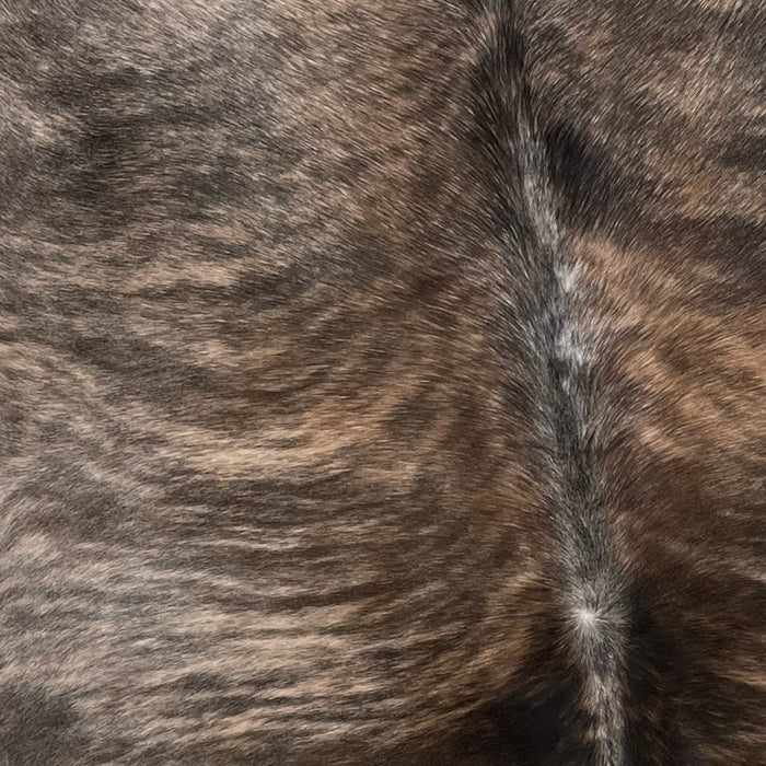 Closeup of this Brazilian Brindle Cowhide, showing dark brown, light tan, medium brown, and gray, with hints of taupe on the back and shoulder (BRBR1066)