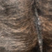 Closeup of this Brazilian Brindle Cowhide, showing dark brown, light tan, medium brown, and gray, with hints of taupe on the back and shoulder (BRBR1066)
