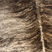 Closeup of this Brazilian, Brindle Cowhide, showing brown, light tan, and black (BRBR1067)