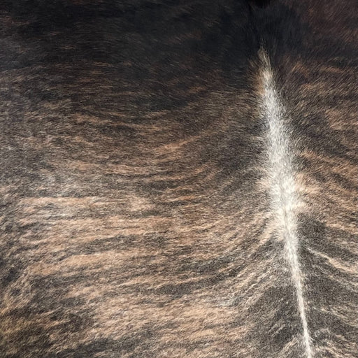Closeup of this Large, Brazilian, Brindle Cowhide, showing light brown with black, brindle markings, white down part of the spine, with hints of gray on the back, and black with dark brown, brindle markings on the shoulder (BRBR1069)
