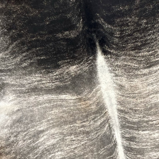 Closeup of this XXL Brazilian Brindle Cowhide, showing black, with off-white, on the shoulder, and white, with gray, across the black, and white down the spine (BRBR1095)