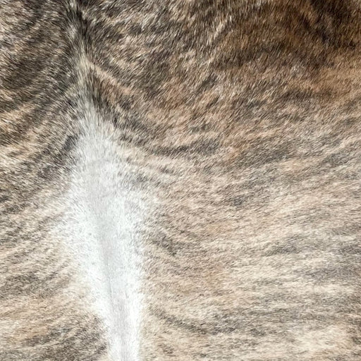 Closeup of this Brazilian Brindle Cowhide, showing  light tan, with gray and black, brindle markings, on the back, and brown and light tan, with dark gray and black, brindle markings, on the shoulder, and white down the spine   - 7'3" x 6'1" (BRBR1098)