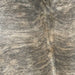 Closeup of this Brazilian Brindle Cowhide, showinf  off-white and light tan, with gray, brindle markings (BRBR1099)