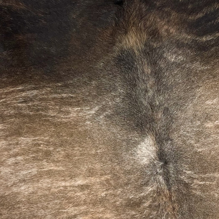 Closeup of this Brazilian, Brindle Cowhide, showing brown on the back, with light tan, brindle markings and hints of gray down the spine, and black, with brown and tan, brindle markings on the shoulder (BRBR1104)