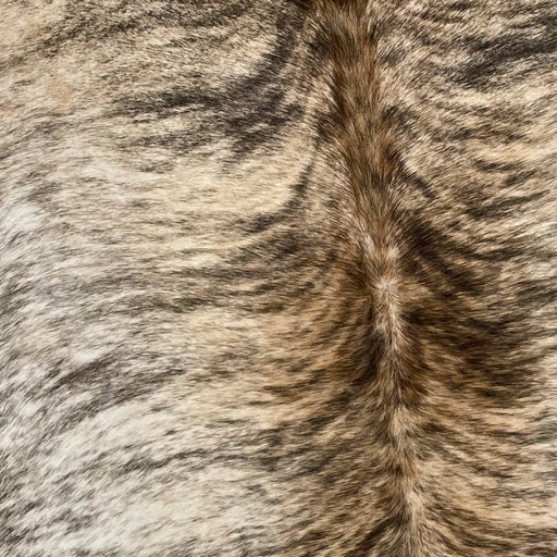 Closeup of this Brazilian, Brindle Cowhide, showing off-white and brown, with black, brindle markings (BRBR1105)