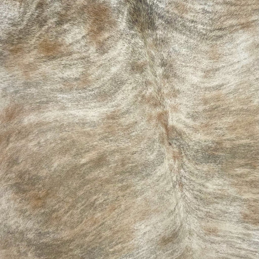 Closeup of this Large, Brazilian, Brindle Cowhide, showing off-white and light reddish brown, with gray, brindle markings (BRBR1106)