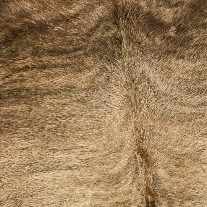 Closeup of this Large, Brazilian, Brindle Cowhide, showing longer hair that is tan, with faint, black, brindle markings on the back, and brown, with black, brindle markings, on the shoulder (BRBR1110)