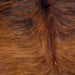 Closeup of this Brazilian, Brindle Cowhide, showing reddish brown with black, brindle markings (BRBR1112)