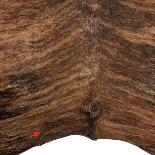 Closeup of this Brown and Black, Brazilian, Brindle Cowhide, showing one brand mark on the left side of the butt (BRBR1117)