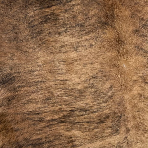 Closeup of this Large Brazilian Brindle Cowhide, showing tan and brown, with black, brindle markings (BRBR1121)