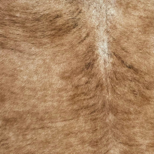 Closeup of this Brazilian Brindle Cowhide, showing light reddish brown, with blackish brown, brindle markings (BRBR1126)