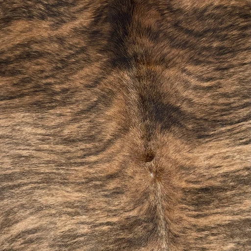 Closeup of this Brazilian, Brindle Cowhide, showing brown with black, brindle markings (BRBR1127)