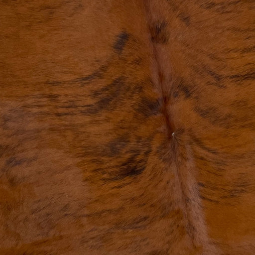 Closeup of this Brazilian, Brindle Cowhide, showing red brown with black, brindle markings  (BRBR1128)