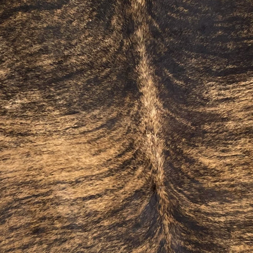 Closeup of this Brazilian Brindle Cowhide, showing brown with black, brindle markings, on the back, and black, with brown, brindle markings, on the shoulder (BRBR1130)