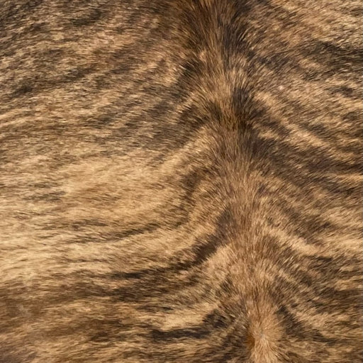 Closeup of this Large Brazilian Brindle Cowhide, showing light brown, with black, brindle markings (BRBR1131)