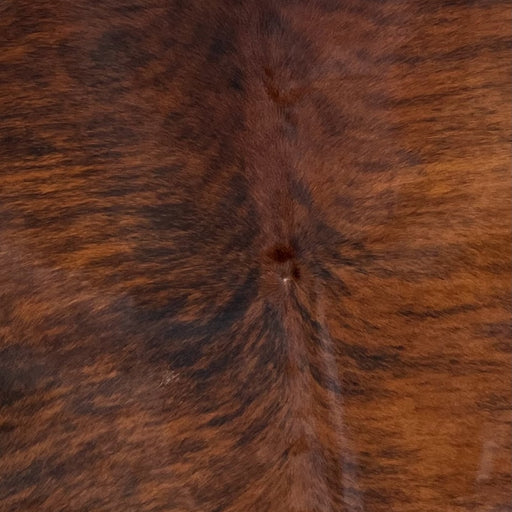 Closeup of this XXL, Brazilian, Brindle Cowhide, showing reddish brown, with black brindle markings (BRBR1132)